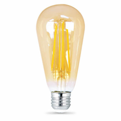 Filament A19 Dim Bulb