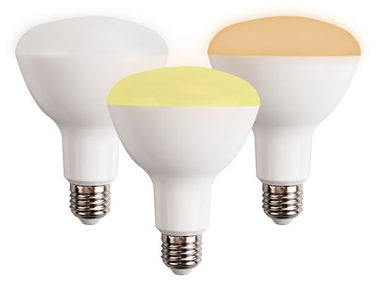 BR30 Sigmesh dimmable bulb