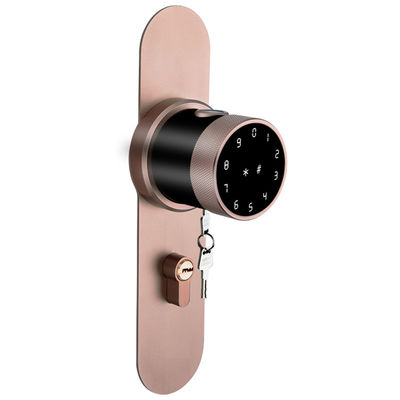 Fingerprint Smart Lock New Style for Home