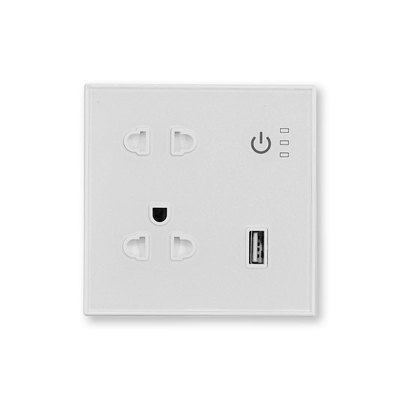 1 Usb 2 Jacks Tuya Smart Wall Plug Socket Vietnam White Customizable Support Amazon Alexa Voice Connection