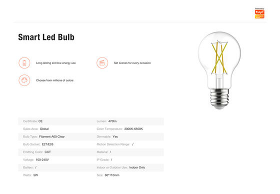 A60 Filament Bulb CCT