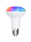 Smart Bulb(LED-TSG-9BR80)