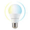 A60 Smart Bulb RGB+WW+CW