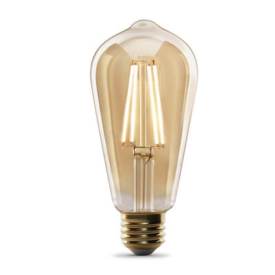 Filament A19 Dim Bulb