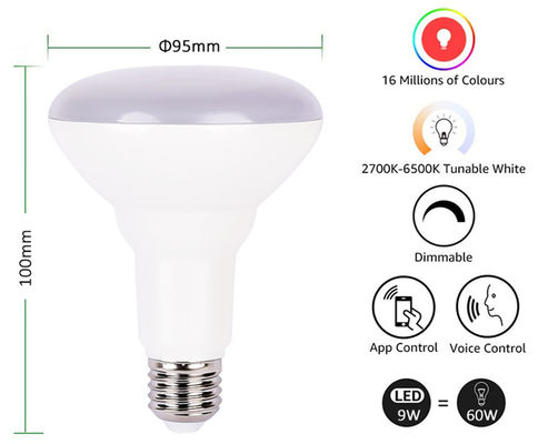 Smart Bulb RGB CCT Dimmable BR30