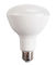 BR30 Sigmesh dimmable bulb