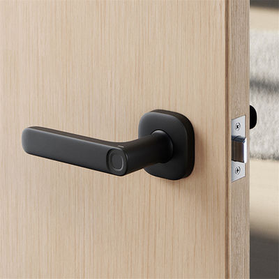 Smart Lock R11