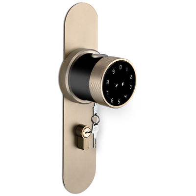 Fingerprint Smart Lock New Style for Home