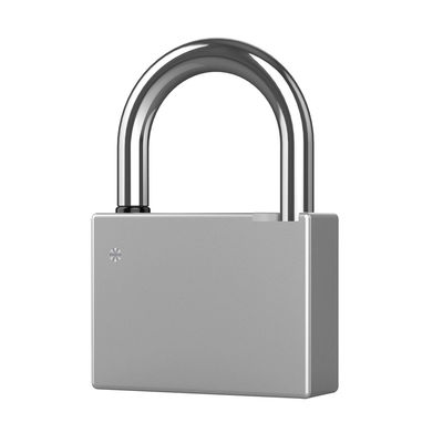 Smart Padlock (Heavy Duty)