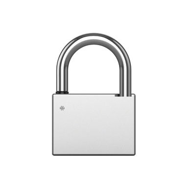 Smart Padlock (Heavy Duty)