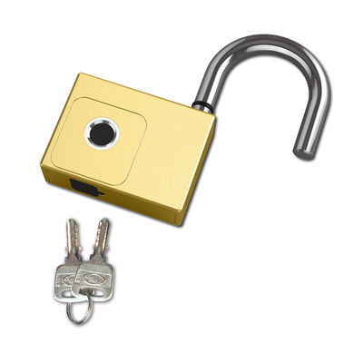 Smart Padlock (Heavy Duty)