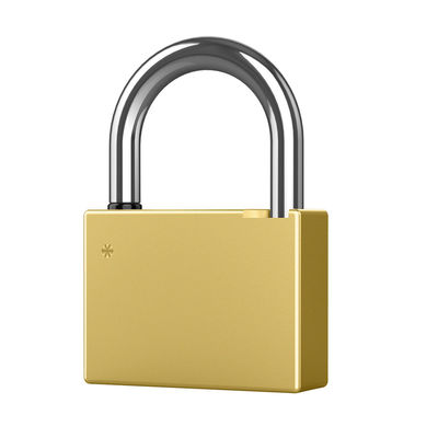 Smart Padlock (Heavy Duty)