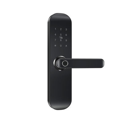 Wi-Fi Smart Lock(E202)