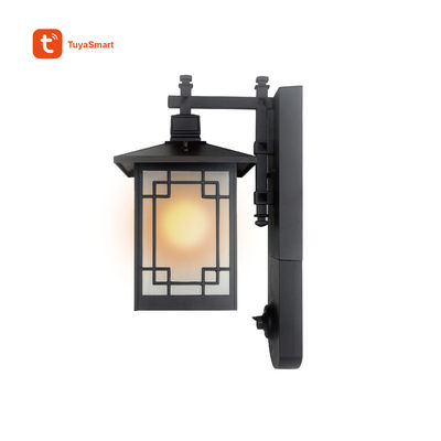 1080p Outdoor Sconce Light IP Camera(IPL102-1)