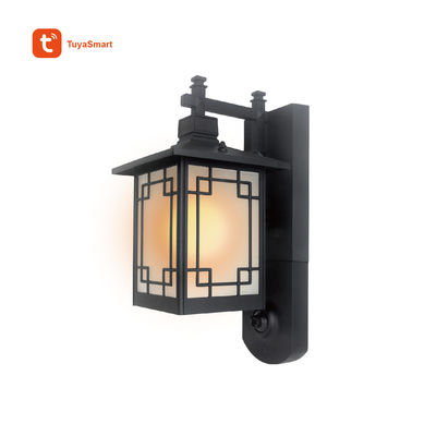 1080p Outdoor Sconce Light IP Camera(IPL102-1)