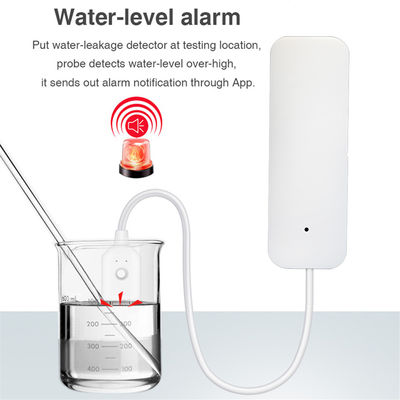 Wi-Fi Water Leak Sensor(WL-879WT)