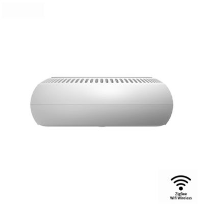 Tuya ZigBee wireless gas sensor(ZigBee-ZMGS)