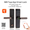 High Quality Hot Selling Fingerprint Indoor Tuya WiFi APP Smart Zinc Alloy TT Lock Door Lock for Apartment House