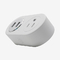 Smart  Home US Standard  WiFi Smart Plug (US1P+2U)With  USB Charging Remote Control Work With Google&Alexa